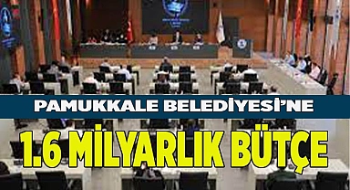 PAMUKKALE BELEDİYESİ 2024 YILI BÜTÇESİ BELİRLENDİ