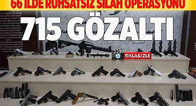 66 ilde ruhsatsız silah operasyonu