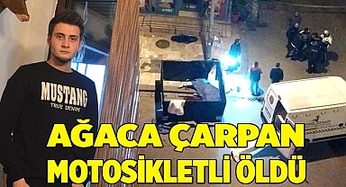 Ağaca çarpan motosikletli öldü