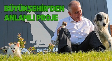 Büyükşehir engelli sokak hayvanlarını sahiplendiriyor