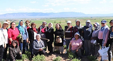 Denizli Milletvekili Ün, TBMM’de Kadına Yönelik Şiddete Dikkat Çekti
