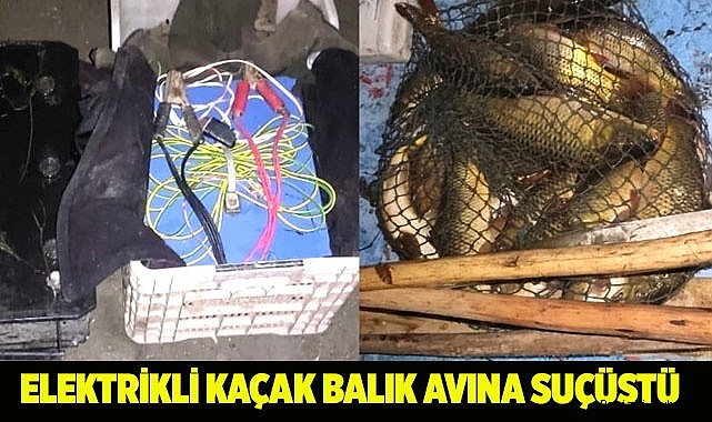 Elektrikli kaçak balık avına suçüstü