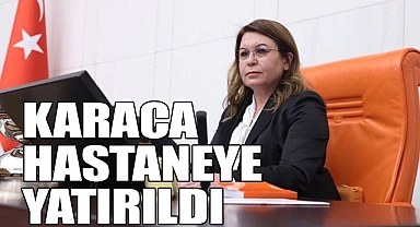 KARACA HASTANEYE YATIRILDI