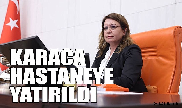 KARACA HASTANEYE YATIRILDI