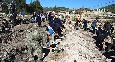 Mehmetçik Hatıra Ormanı’nda binlerce fidan toprakla buluştu