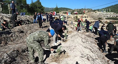 Mehmetçik Hatıra Ormanı’nda binlerce fidan toprakla buluştu