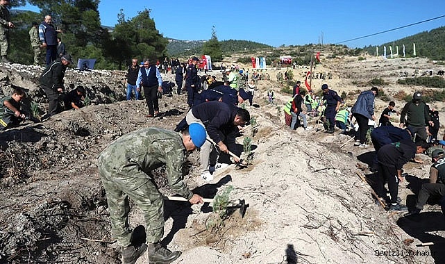 Mehmetçik Hatıra Ormanı’nda binlerce fidan toprakla buluştu