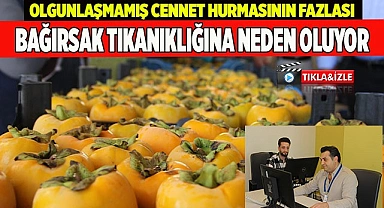 Olgunlaşmamış cennet hurmasının fazlası bağırsak tıkanıklığına neden oluyor