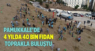 PAMUKKALE’DE 3202 AĞAÇ DAHA TOPRAKLA BULUŞTU