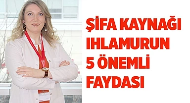 ŞİFA KAYNAĞI IHLAMURUN 5 ÖNEMLİ FAYDASI