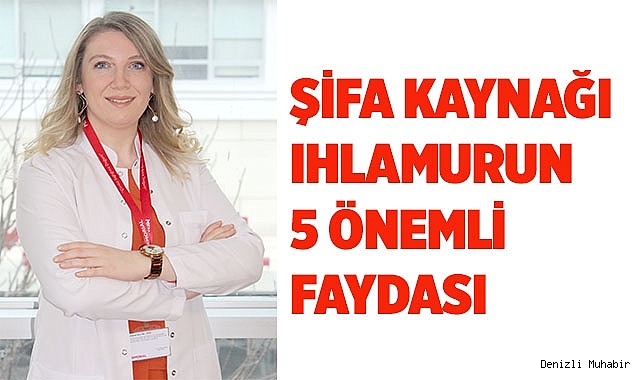 ŞİFA KAYNAĞI IHLAMURUN 5 ÖNEMLİ FAYDASI