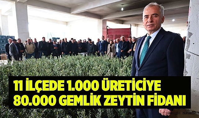 Büyükşehir’den zeytin fidanı seferberliği  