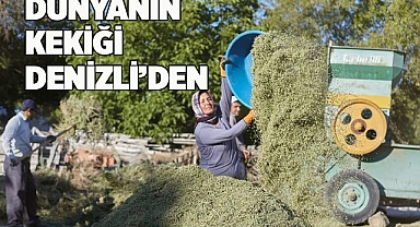 Denizli dünyanın kekik ambarı haline geldi