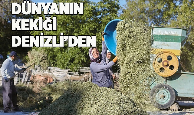 Denizli dünyanın kekik ambarı haline geldi