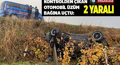 Kontrolden çıkan otomobil üzüm bağına uçtu: 2 yaralı