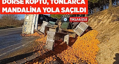 Kopan dorsedeki tonlarca mandalina yola saçıldı