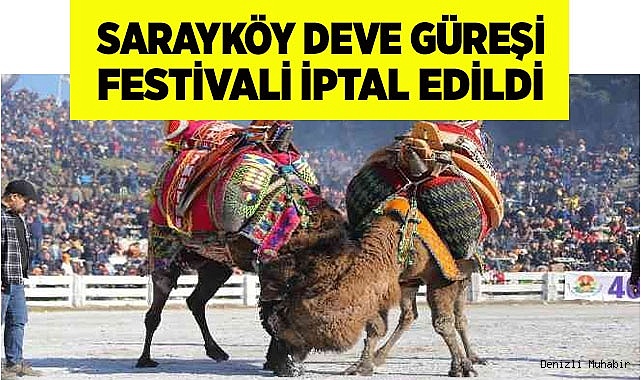  Sarayköy Deve Güreşi Festivali iptal edildi