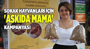 Sokak hayvanları için 'Askıda mama' kampanyası