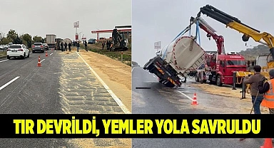 Tır devrildi, yemler yola savruldu