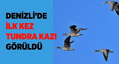 Tundra kazı, Denizli’de ilk kez gözlemlendi