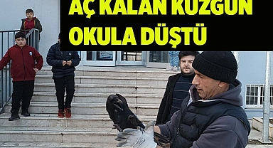 AÇ KALIP OKULA SIĞINAN KUZGUN KURTARILDI