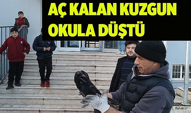 AÇ KALIP OKULA SIĞINAN KUZGUN KURTARILDI