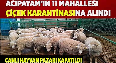 Acıpayam’ın 11 mahallesi çiçek karantinasına alındı