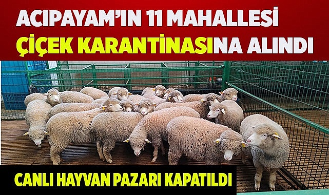Acıpayam’ın 11 mahallesi çiçek karantinasına alındı