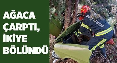 Ağaca çarptı ikiye bölündü