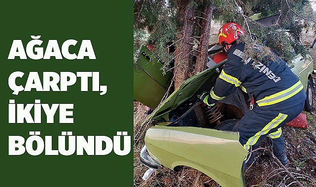 Ağaca çarptı ikiye bölündü
