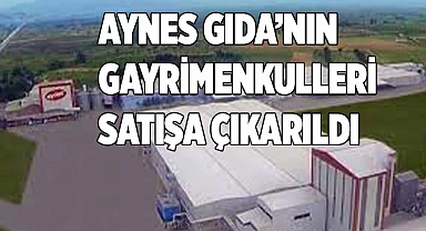 Aynes Gıda’nın gayrimenkulleri satışa çıkarıldı