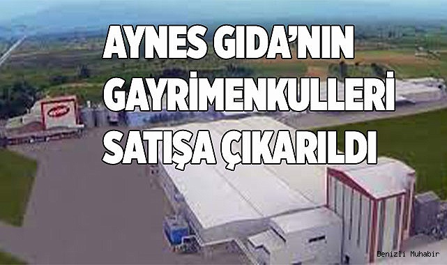 Aynes Gıda’nın gayrimenkulleri satışa çıkarıldı