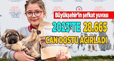 Büyükşehir ile 1.018 sokak hayvanı yeni yuvasında