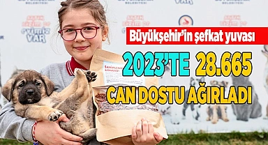 Büyükşehir ile 1.018 sokak hayvanı yeni yuvasında
