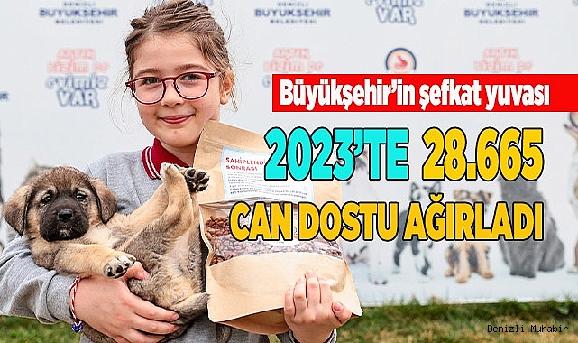 Büyükşehir ile 1.018 sokak hayvanı yeni yuvasında