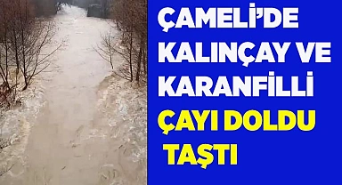 Çameli'nin kanlıçay ve karanfilli çayı yağışlardan taştı