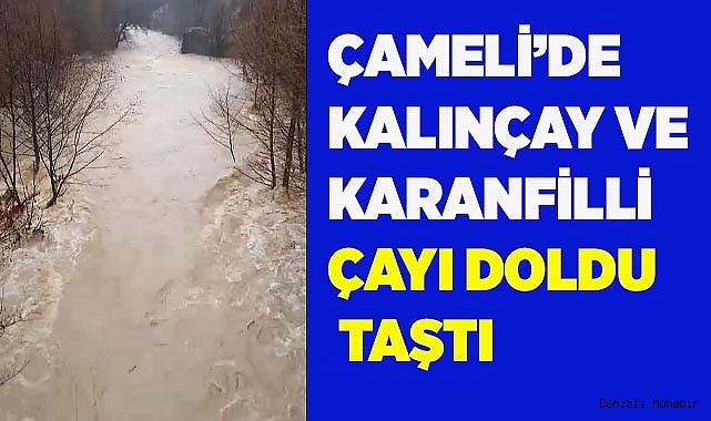Çameli'nin kanlıçay ve karanfilli çayı yağışlardan taştı