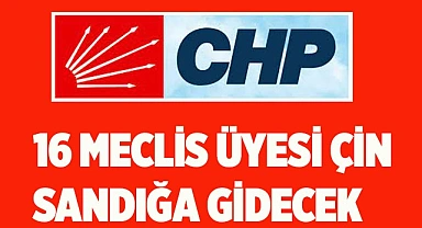 CHP’DE 16 MECLİS ÜYESİ İÇİN SANDIK KURULACAK