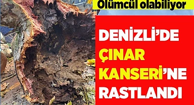 ÇINAR KANSERİ DENİZLİ’DE DE TESPİT EDİLDİ