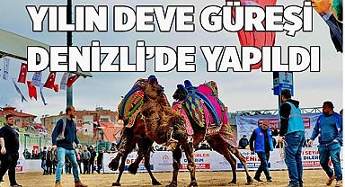 Denizlililer deve güreşi heyecanını doyasıya yaşadı