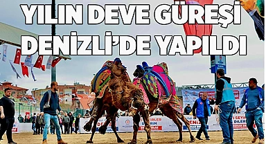 Denizlililer deve güreşi heyecanını doyasıya yaşadı