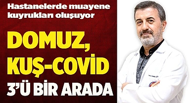 DOMUZ-KUŞ-COVİD ÜÇÜ BİR ARADA