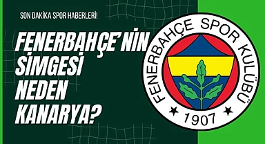 Fenerbahçe’nin Simgesi Neden Kanarya