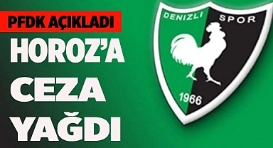 HOROZA CEZA YAĞDI