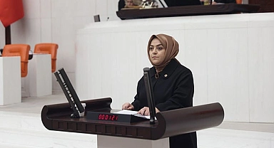 Kadro nakil hakkı sorununun çözülmesi için Milletvekili Ün, mecliste çağrıda bulundu
