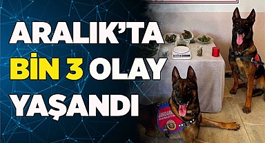 SADECE ARALIK’TA BİN 3 OLAY