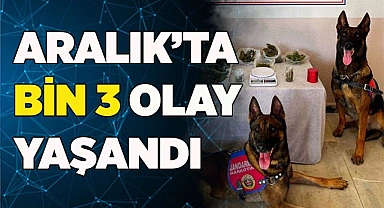 SADECE ARALIK’TA BİN 3 OLAY