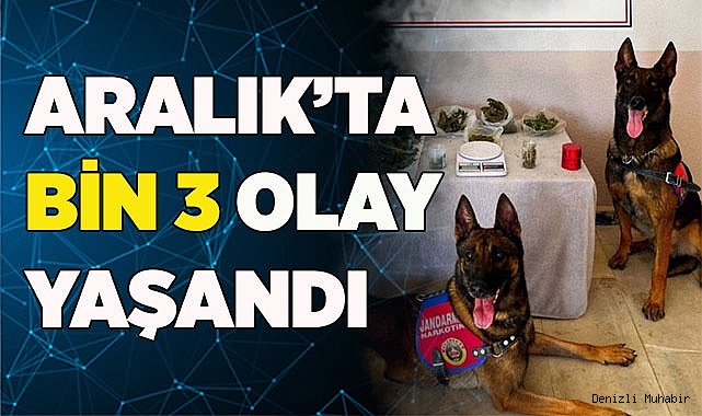SADECE ARALIK’TA BİN 3 OLAY