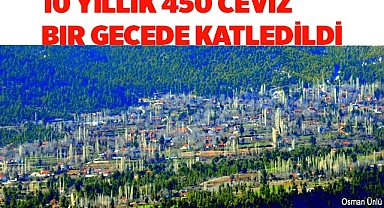10 yıllık 450 ceviz bir gecede katledildi