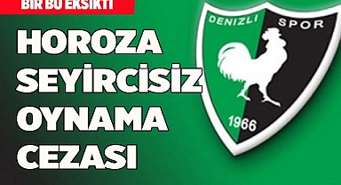 HOROZA SEYİRCİSİZ OYNAMA CEZASI